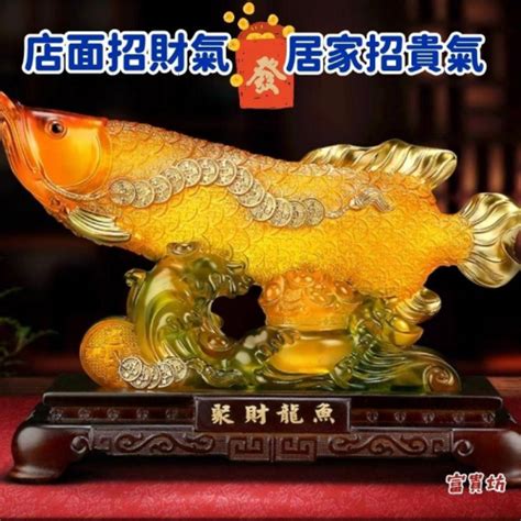 金龍魚風水|詳解：金龍魚風水的意義與作用